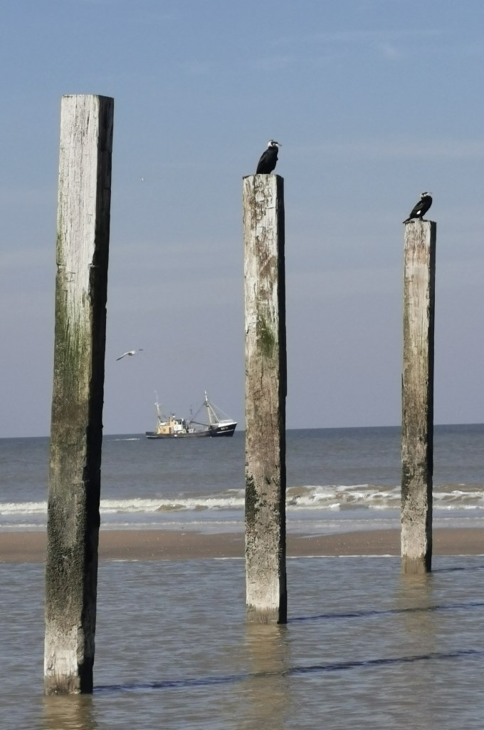 willem de Jong, Zee